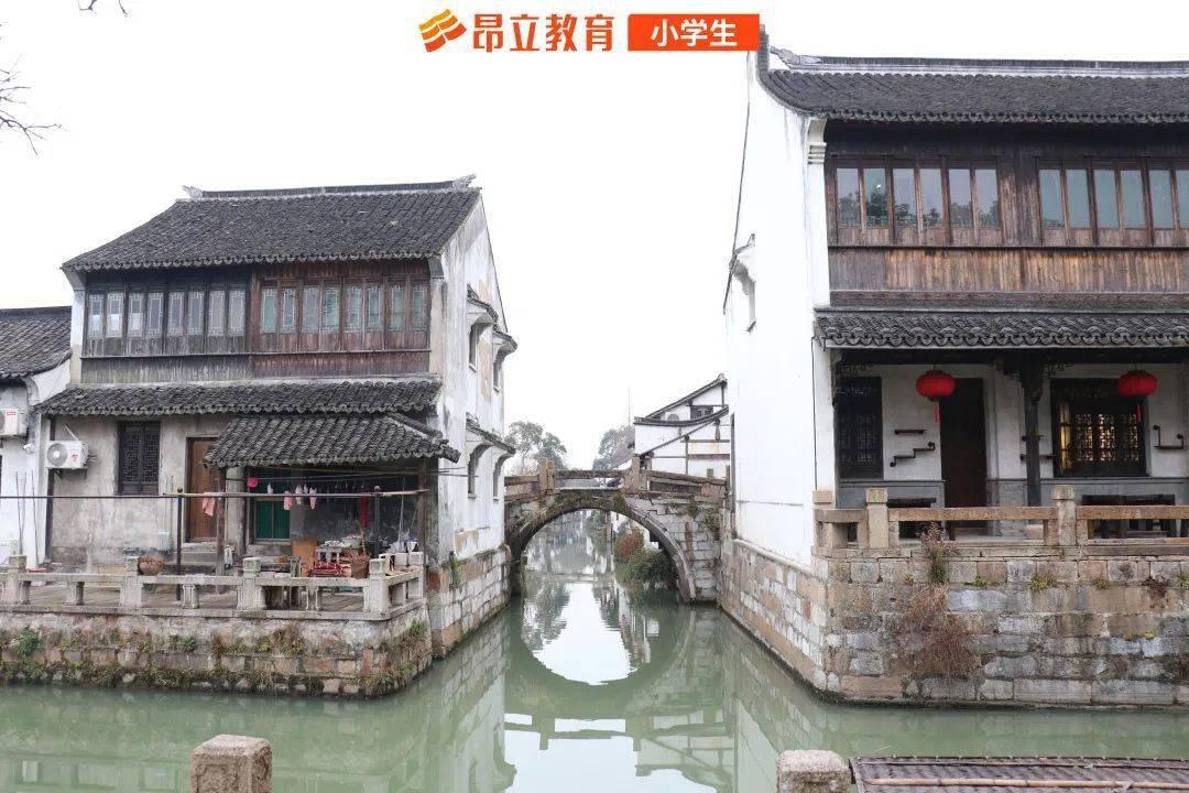 党建引领抗冰雪